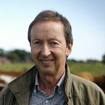 平台在线ddos压力测试